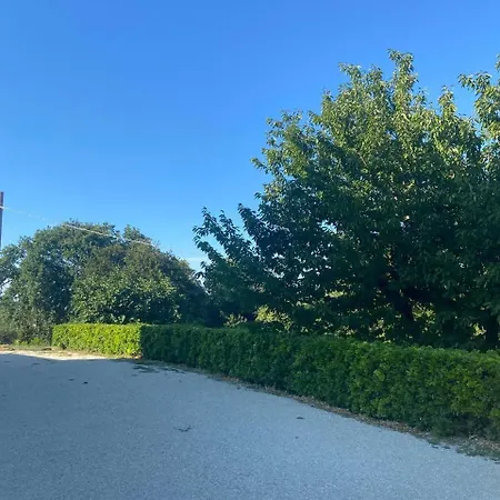 La Casa Del Falegname Ripatransone